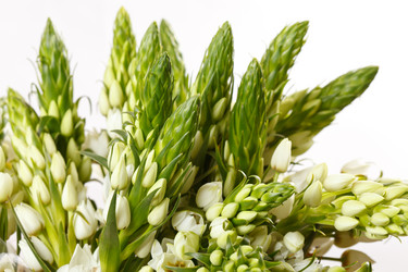 Similar image 5556338