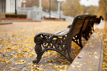 Similar image 5556362