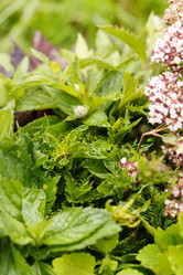 Similar image 5556370