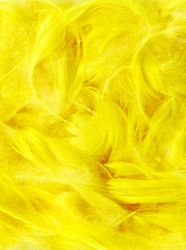 Similar image 5556387