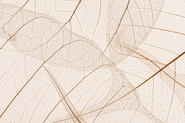 Similar image 5556397