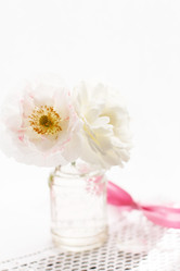 Similar image 5556398