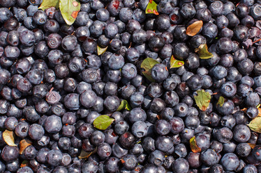 Similar image 5556399