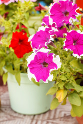 Similar image 5556401