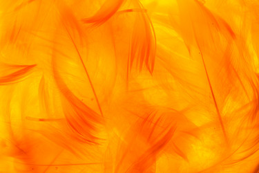 Similar image 5556405