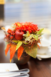 Similar image 5556428