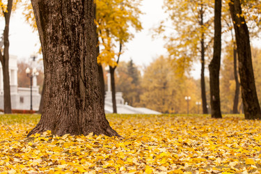 Similar image 5556464