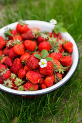 Similar image 5556492