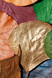 Similar image 5556493