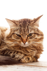 Similar image 5556511