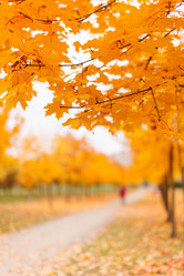 Similar image 5556512