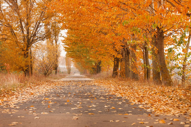 Similar image 5556516