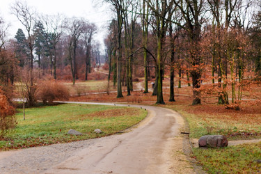 Similar image 5556527