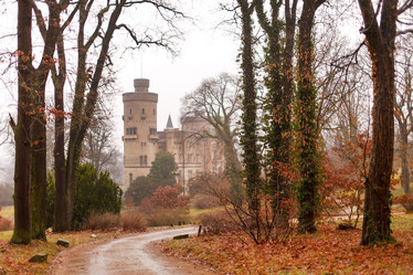 Similar image 5556528