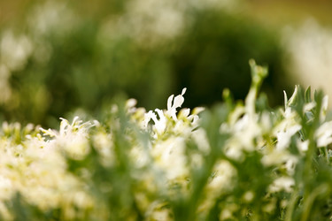 Similar image 5556539