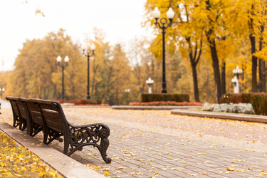 Similar image 5556553