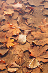 Similar image 5556575