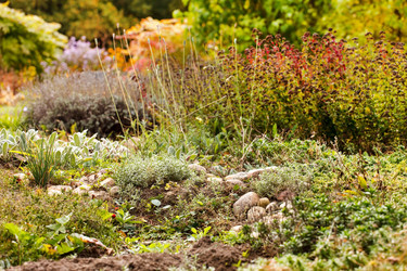 Similar image 5556588