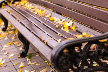 Similar image 5556610