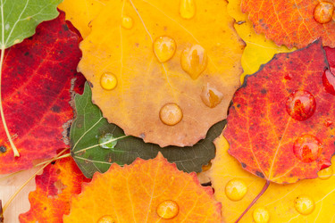 Similar image 5556615