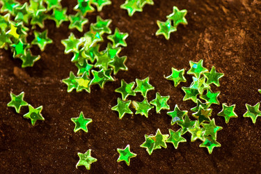 Similar image 5556637