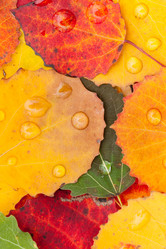 Similar image 5556667