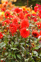 Similar image 5556668