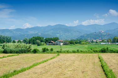 Similar image 5556782