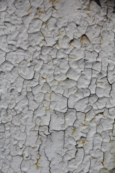 Similar image 5556911