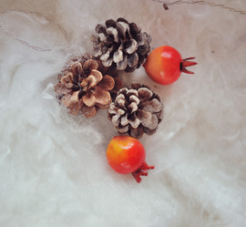 Similar image 5556913