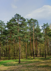 Similar image 5556916