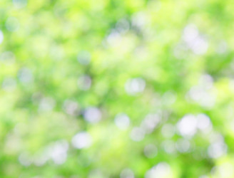 Similar image 5557004