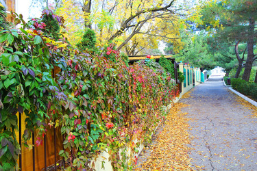 Similar image 5557033