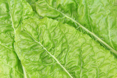 Similar image 5557037