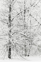 Similar image 5557047