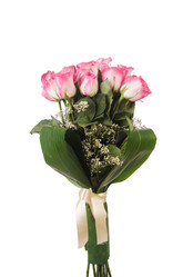 Similar image 5557350