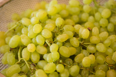 Similar image 5557442