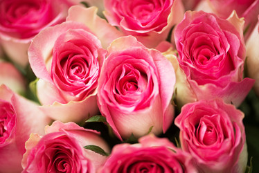 Similar image 5557462