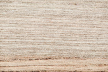 Similar image 5557501