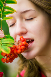 Similar image 5557514