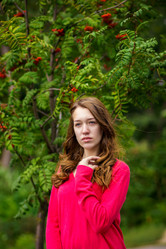 Similar image 5557518