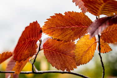 Similar image 5557573