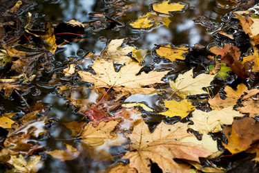 Similar image 5557575