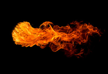 Similar image 5558174