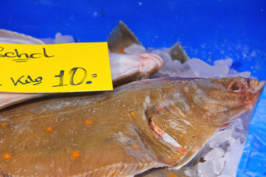 Similar image 5558447