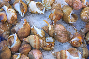 Similar image 5558451