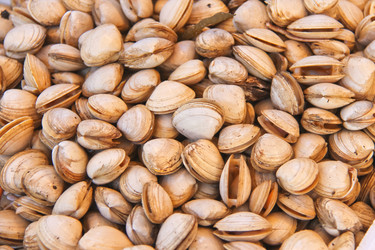 Similar image 5558453