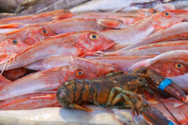 Similar image 5558456