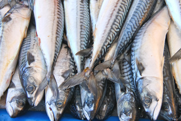 Similar image 5558480