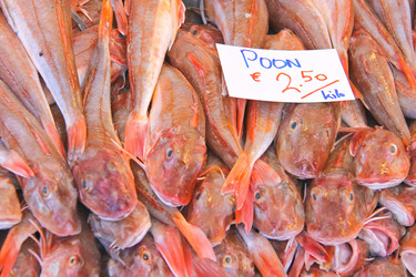 Similar image 5558482